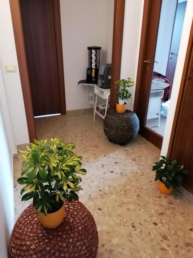 Apartamento Giuseppe House Pisa Exterior foto